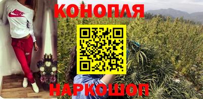 дживик Камышлов