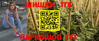 дживик Камышлов