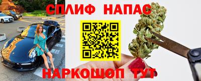 дживик Камышлов